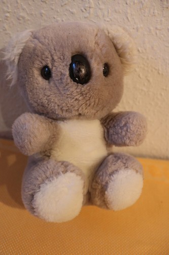 Koala koalabär bär - koala,, koalabär,