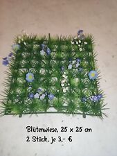 Floristik, Blütenwiese, Aus