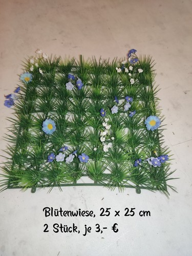Floristik blütenwiese aus - blütenwiese,,