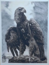 Kurt Meyer-Eberhardt 1895-1977