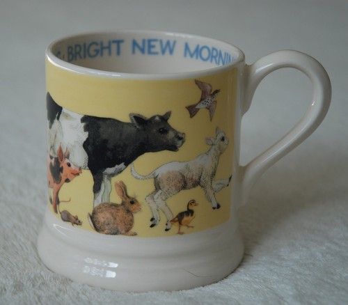 Emma bridgewater bright new - emma,