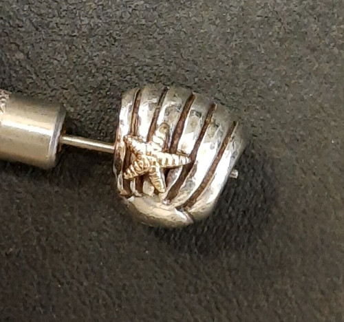 Pandora charm bicolor - pandora,