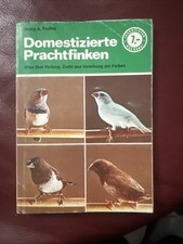 Domestizierte Prachtfinken -