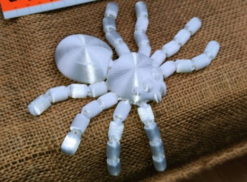 Druck spinne tarantel - 3d,