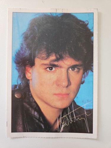 Nino angelo - nino,