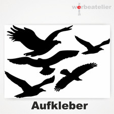 Aufkleber 5Vögel Warnvögel