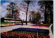 50983486 - 5000 Erfurt