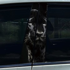 2 Stück Leopard Panther