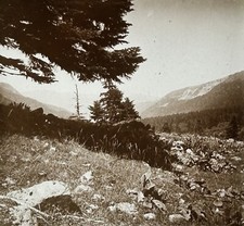 Frankreich Landschaft c1910