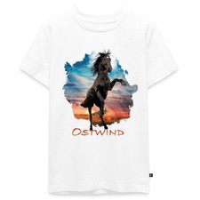 Ostwind Der Große Orkan