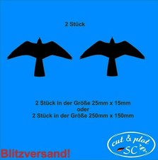 Turmfalke warnvögel - 2,