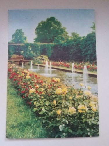 Alte forst forster - alte,