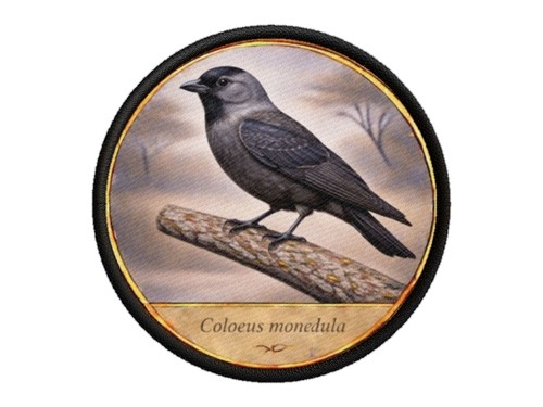 Aufnäher badge patch - aufnäher,