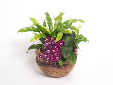 Übertopf "Oskartopf"