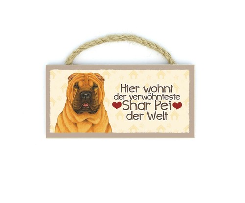 Shar pei haustier - shar,