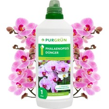 Purgrün Phalaenopsis Dünger