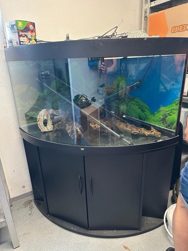 Aquarium komplet mit - aquarium,