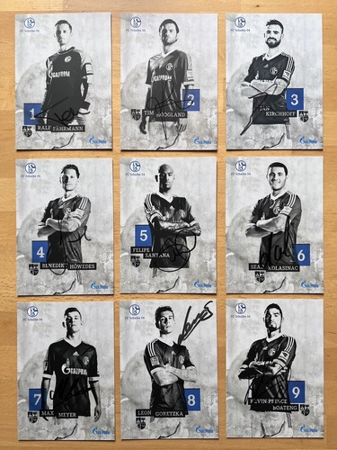 Schalke 04 - fc,