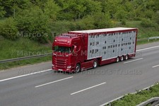 LKW Foto Scania Viehtransporter Deutschland rot #l3ms