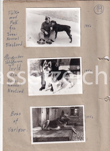 Original fotos militär 1956 - 6,