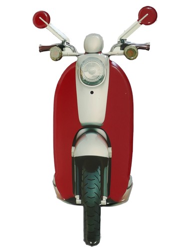 Blechschild scooter rom - blechschild,