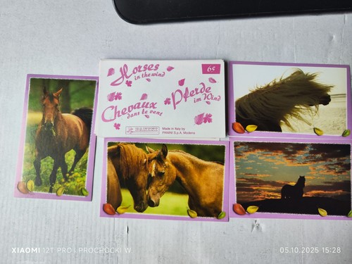 Sticker pferde wind von - im,