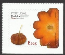 HOLZ 2014 Tropische Früchte