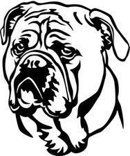 CONTINENTAL BULLDOG Aufkleber