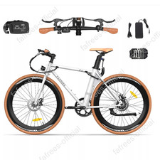 FAFREES F1 E-Bike E-Stadtrad