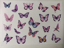 Fensterbild Schmetterlinge