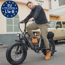 FAFREES FF20 24AH Klapprad