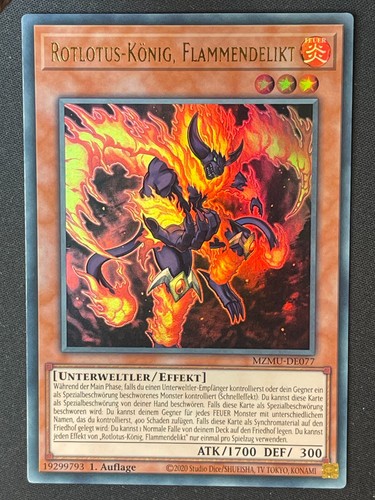 Rotlotus könig flammendelikt - rotlotus-könig,,