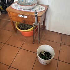 Trump 1 Zoll - Gabel von 26er