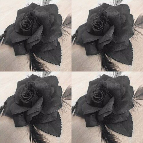 Haarblume blatt - haarblume,