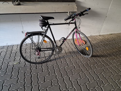 Kuwahara pacer - (rh, 59cm)