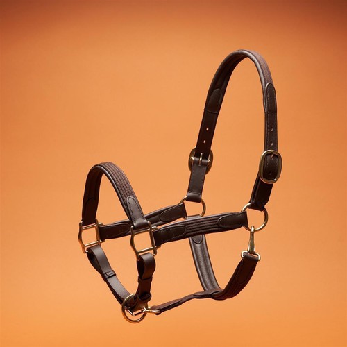 Horsecode halfter brown gold - horsecode,