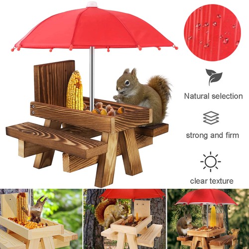 Nussspender eichhörnchen - nussspender,