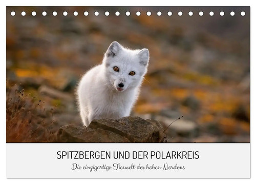 David lerch spitzbergen und - |,