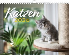 Kalender Katzen 2026 Eintragkalender