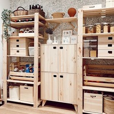 Dinamic Regal - Großes