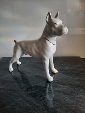 # Boxerhund / Boxer  weiß