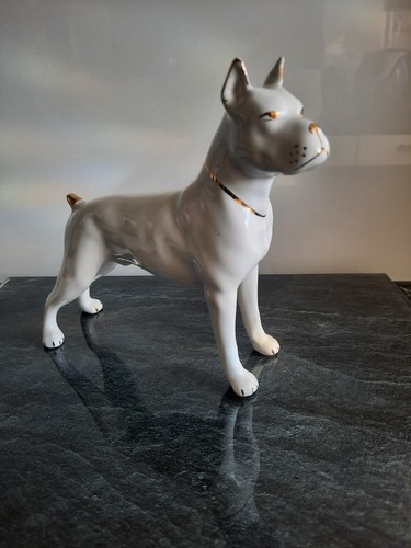 Boxerhund boxer weiß - #,