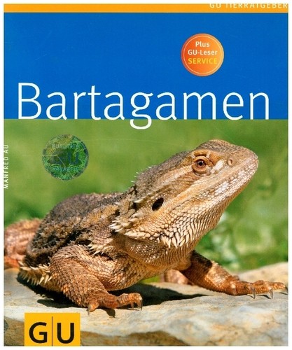 Bartagamen manfred - bartagamen,