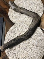 Treibholz Schwemmholz Tischdeko Holz basteln dekorieren Äste