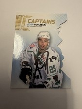 DEL2 Captains Bietigheim