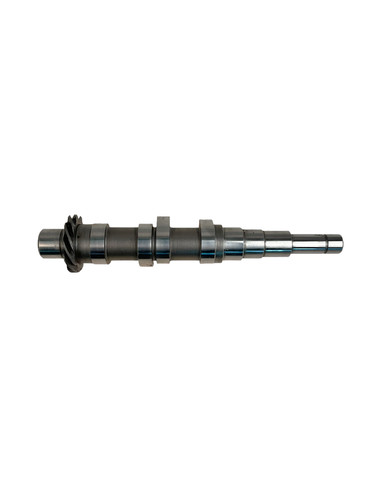 Nockenwelle 12v chang jiang - 12v,