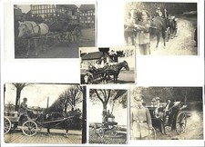 XX3238/ 6 x Foto Kutschen Pferde ca. 1910 -20