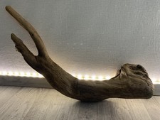 Treibholz/  XL Treibgut/ Skulptur/Wurzel/Baumteil/Ast/Lampe/Deko