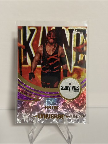 2025 topps universe - topps, wwe