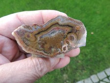 Achat aus Wendelsheim in Rheinland-Pfalz